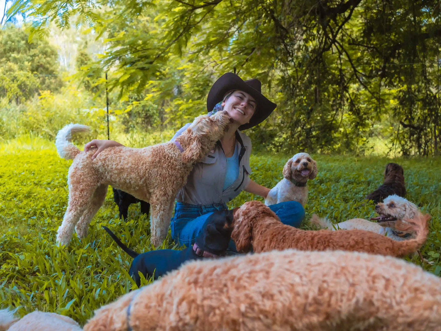 Dog Daycare