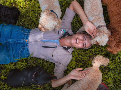 Dog Daycare
