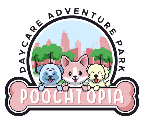 Poochtopia Daycare Adventure Park